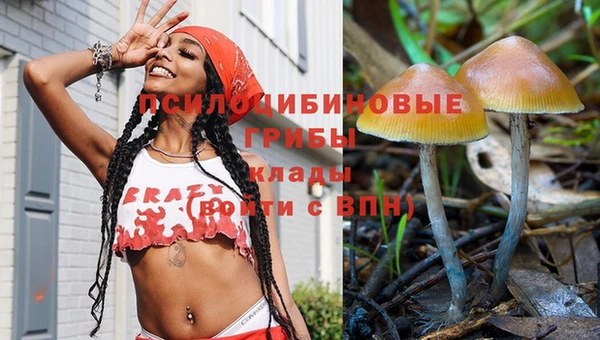 шишки Алзамай