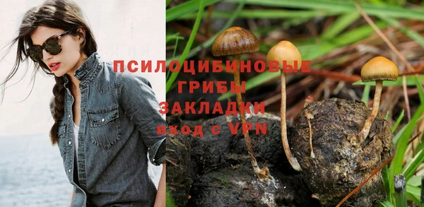 шишки Алзамай