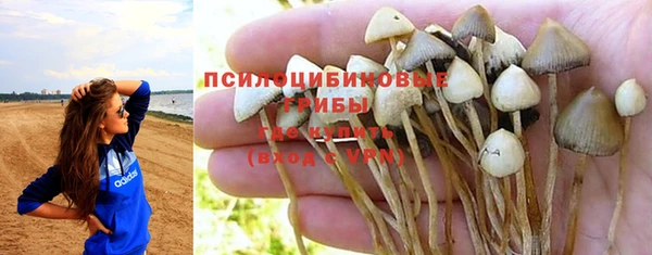 дурь Алексин